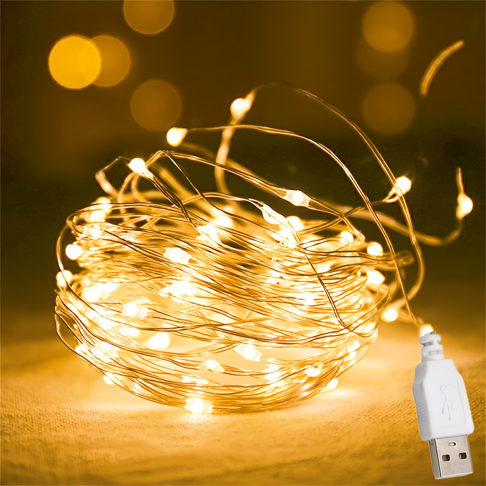 USB Powered Micro LED String Lights for Indoor Holiday and Party Decoration