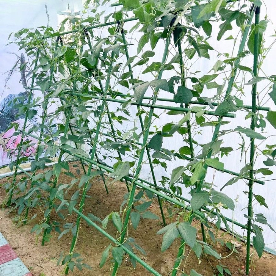Multifunctional Gardening Plastic Support Stakes