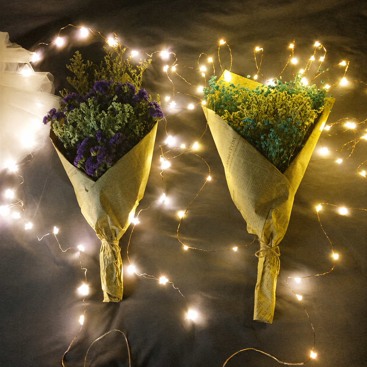 Battery Powered LED Fairy String Lights for Holiday and Party Decoration