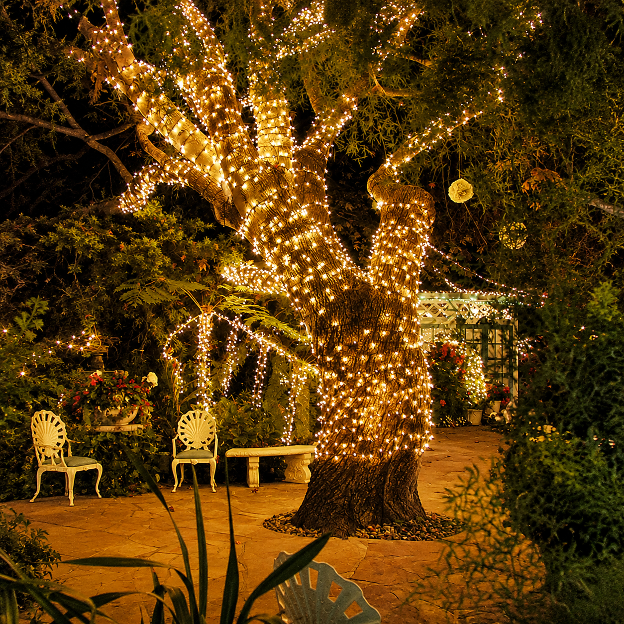 Indoor LED Fairy Christmas String Lights For Holiday Camping  