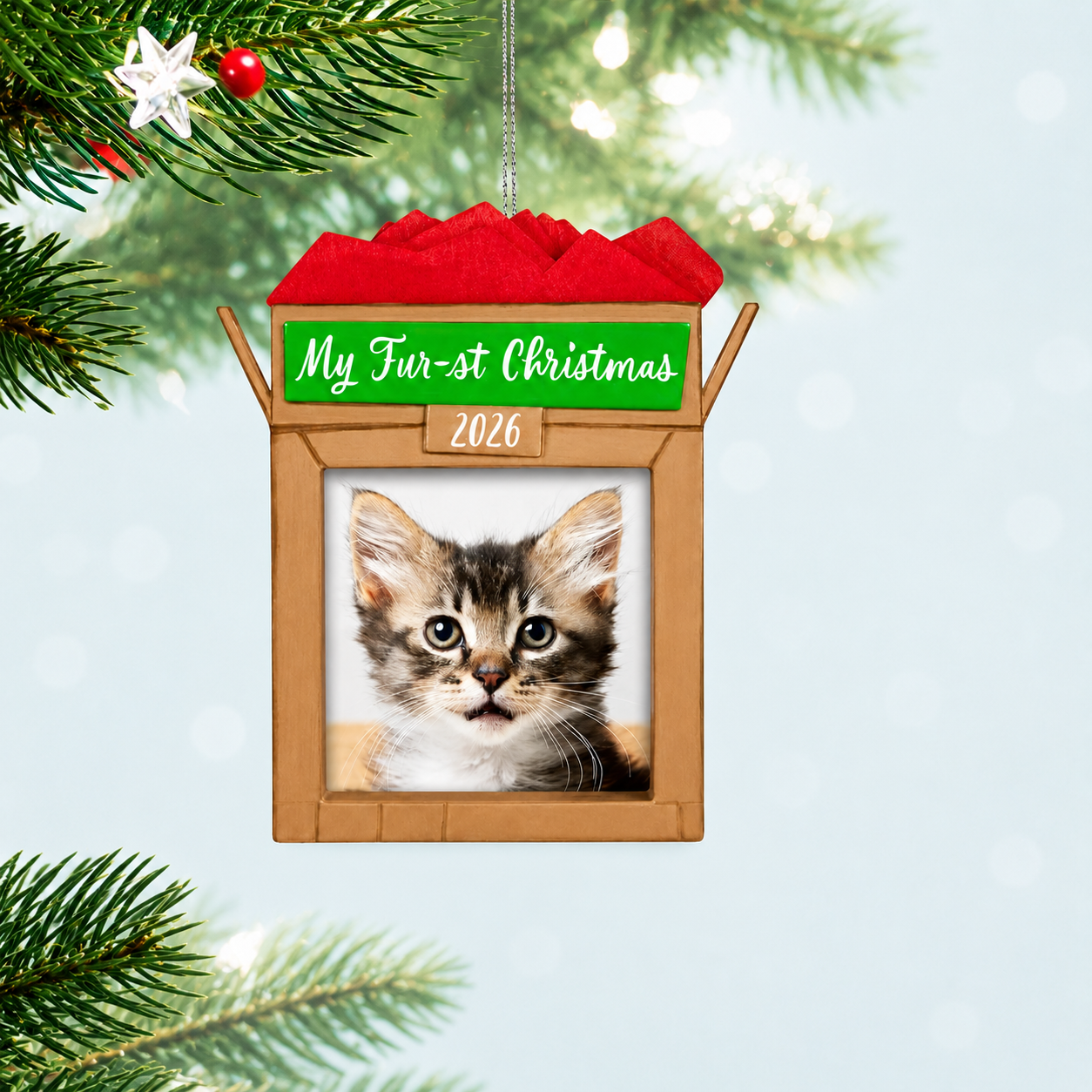 2026 Christmas Themed Pet Photo Frame Ornament