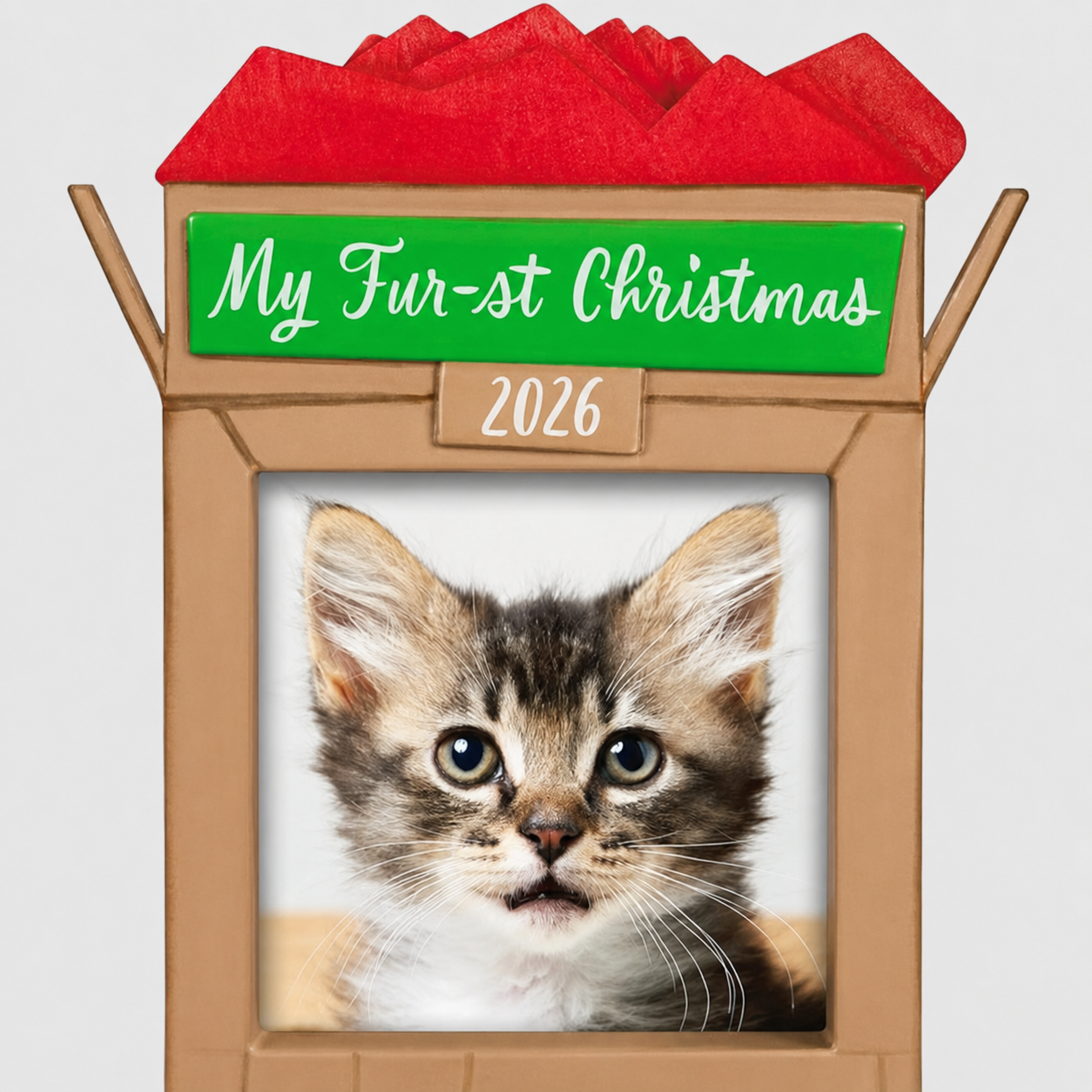 2026 Christmas Themed Pet Photo Frame Ornament