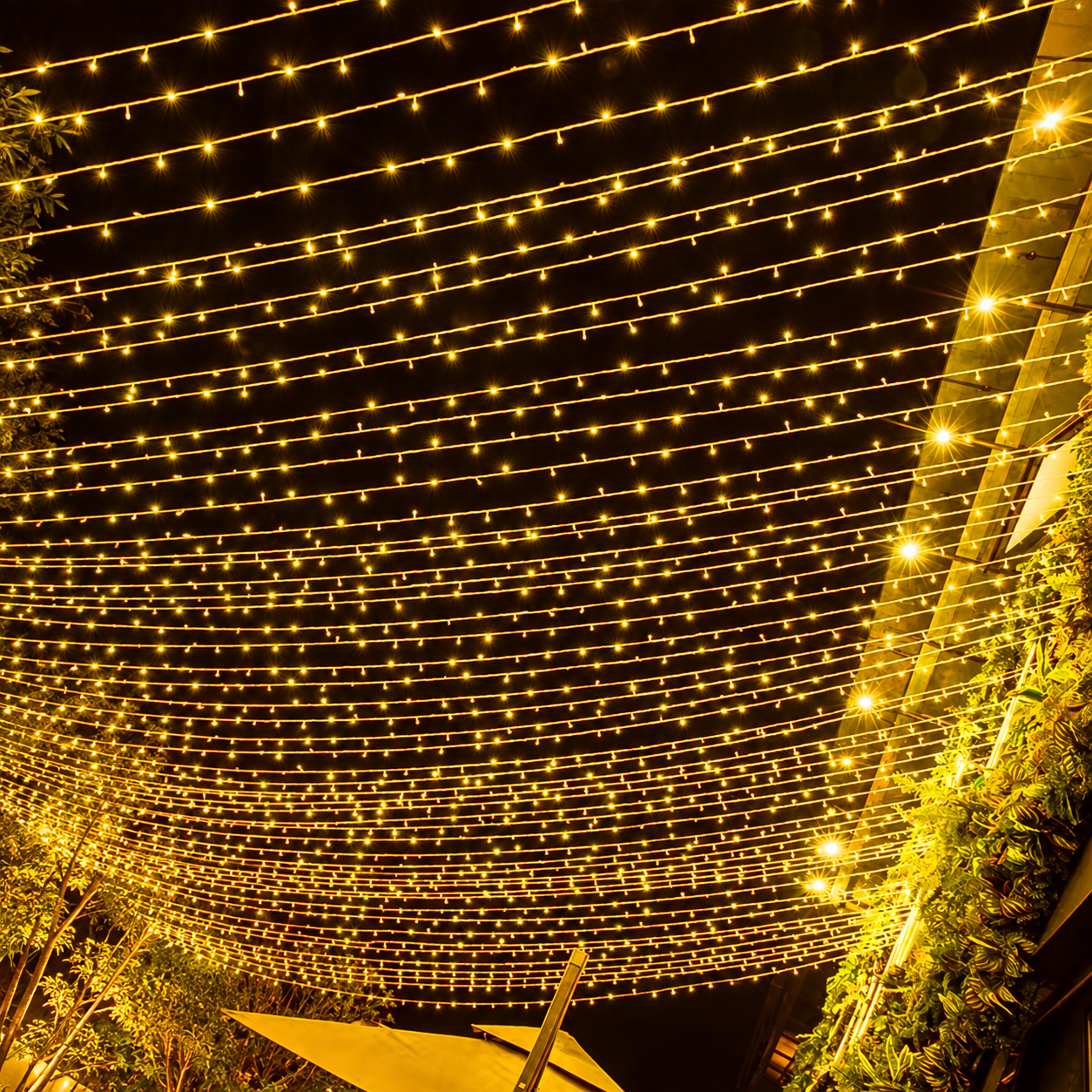 LED Fairy String Lights For Garden Wedding And Room Decor