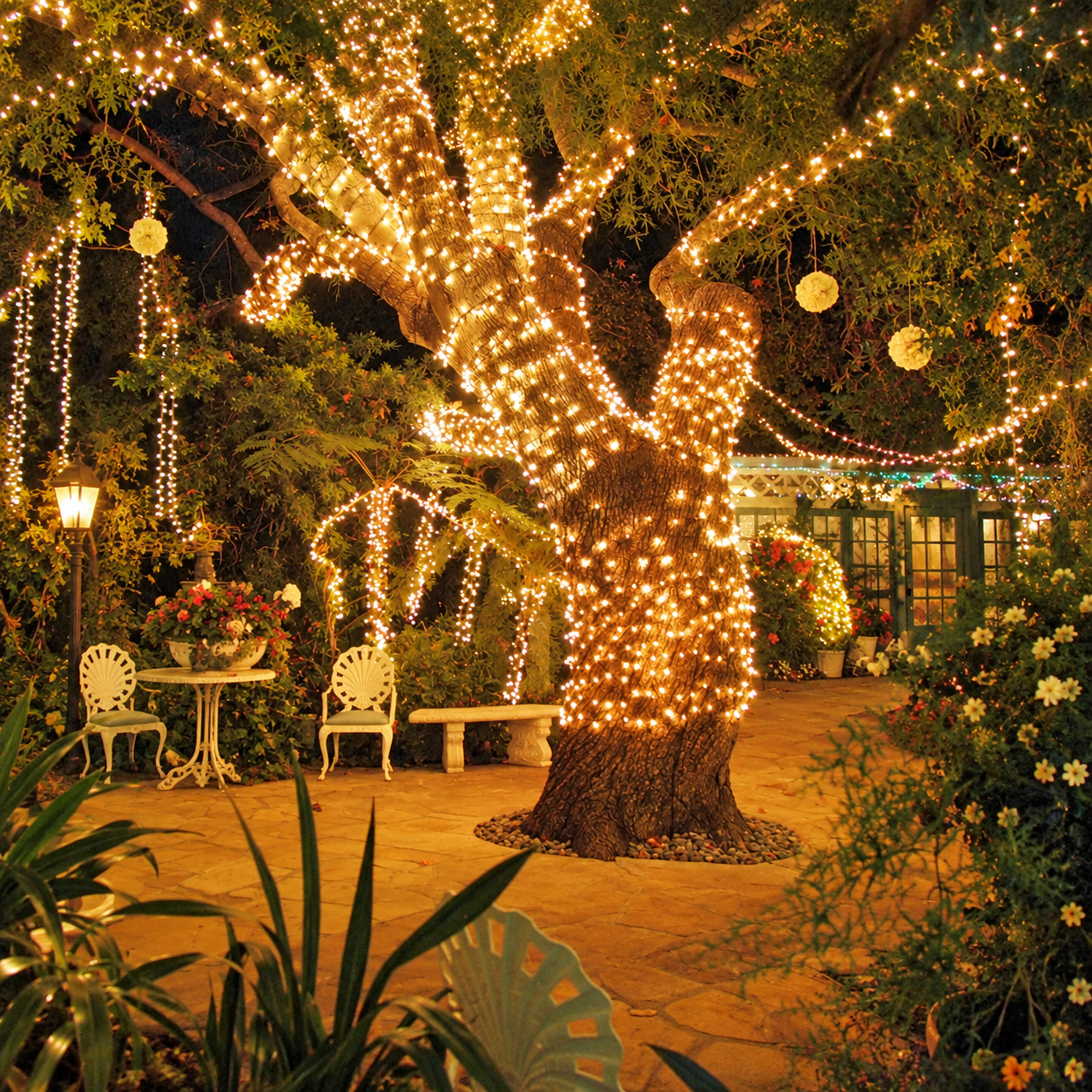 LED Fairy String Lights For Garden Wedding And Room Decor