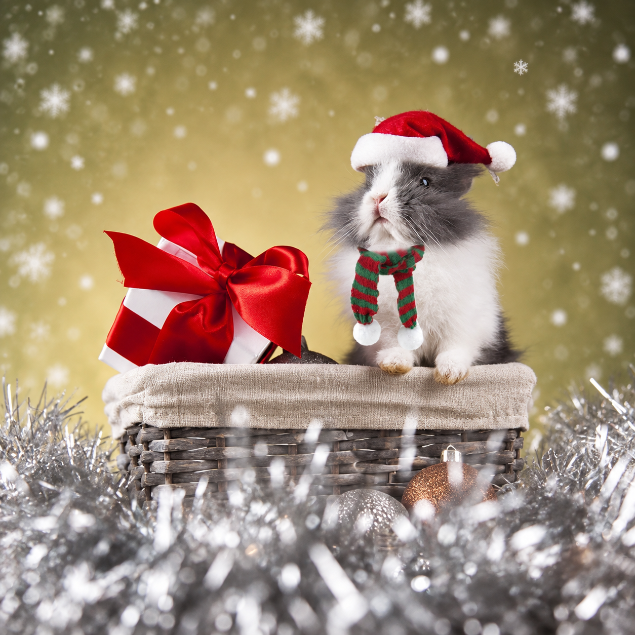 Small Pet Christmas Hat and Scarf for Guinea Pig Hamster and Chinchilla