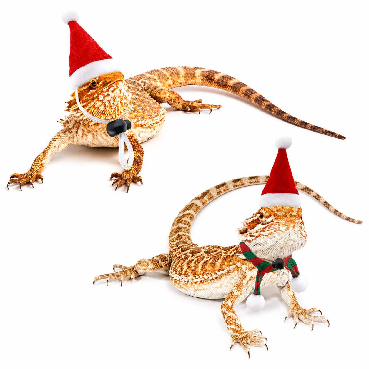 Small Pet Christmas Hat and Scarf for Guinea Pig Hamster and Chinchilla