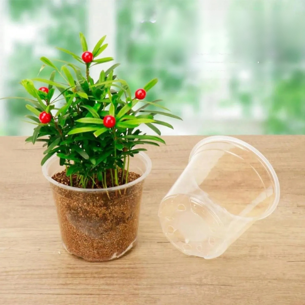 Pack Of 36 Transparent Nursery Plant Pots With Drainage Holes