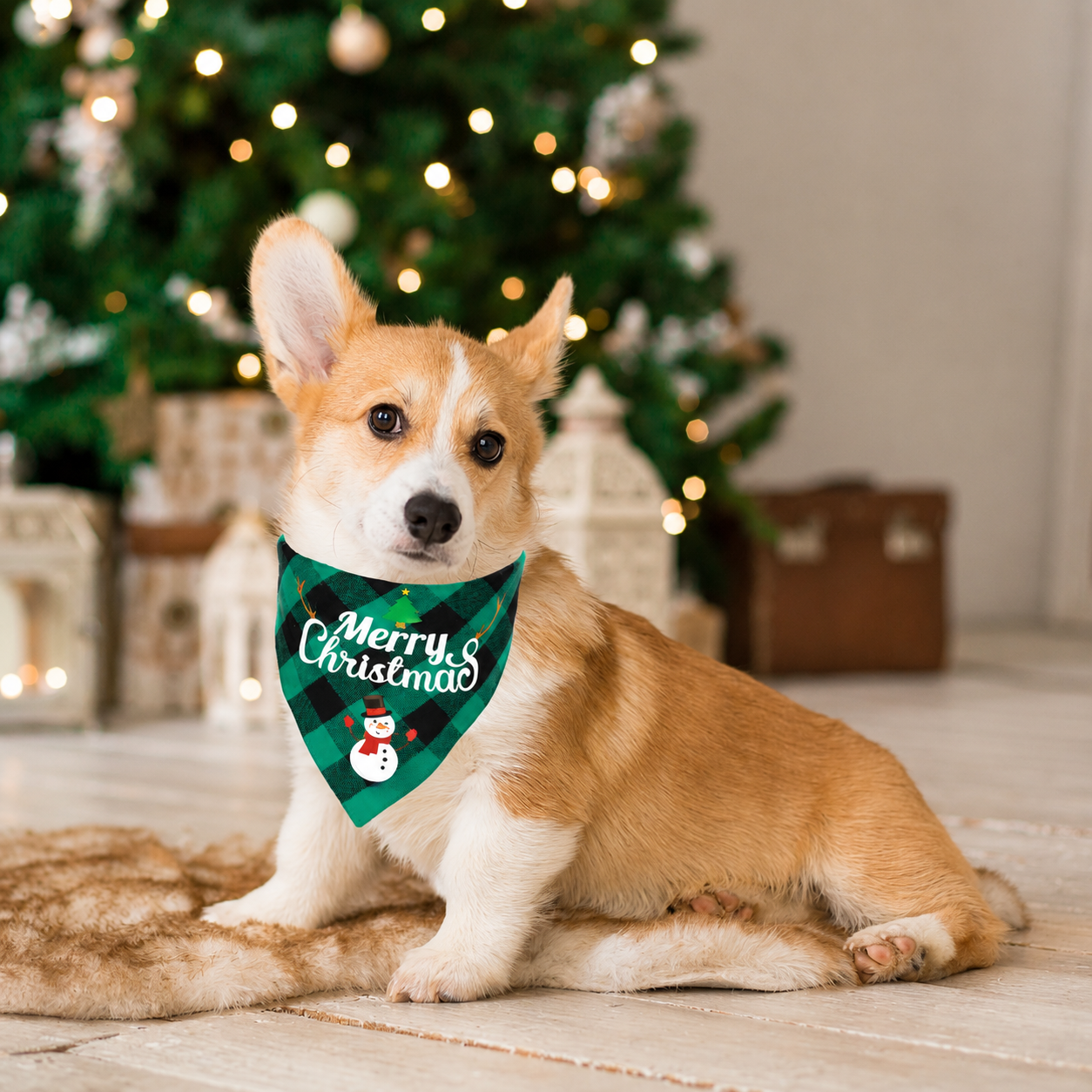 Pack of 2 Christmas themed Triangle Bib Bandanas For Dogs