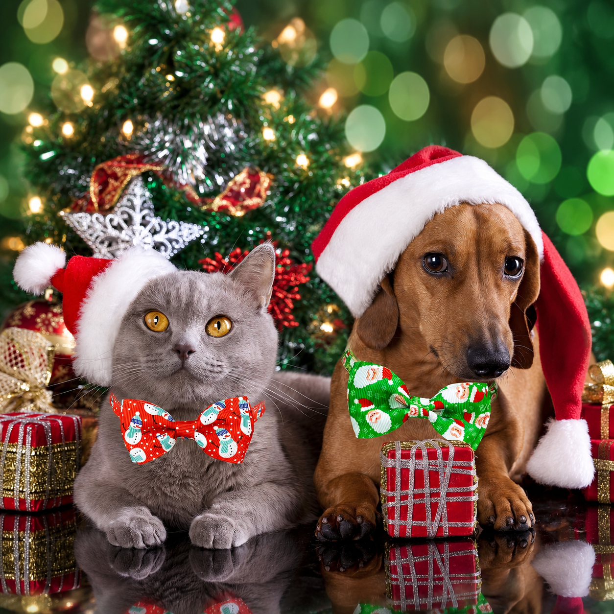 2 Pack Adjustable Christmas Bow Tie Collar with Bell For Cats