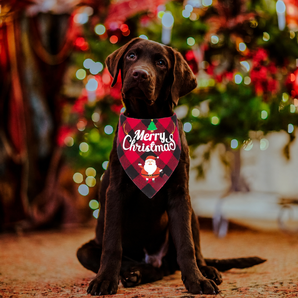 Pack of 2 Christmas themed Triangle Bib Bandanas For Dogs
