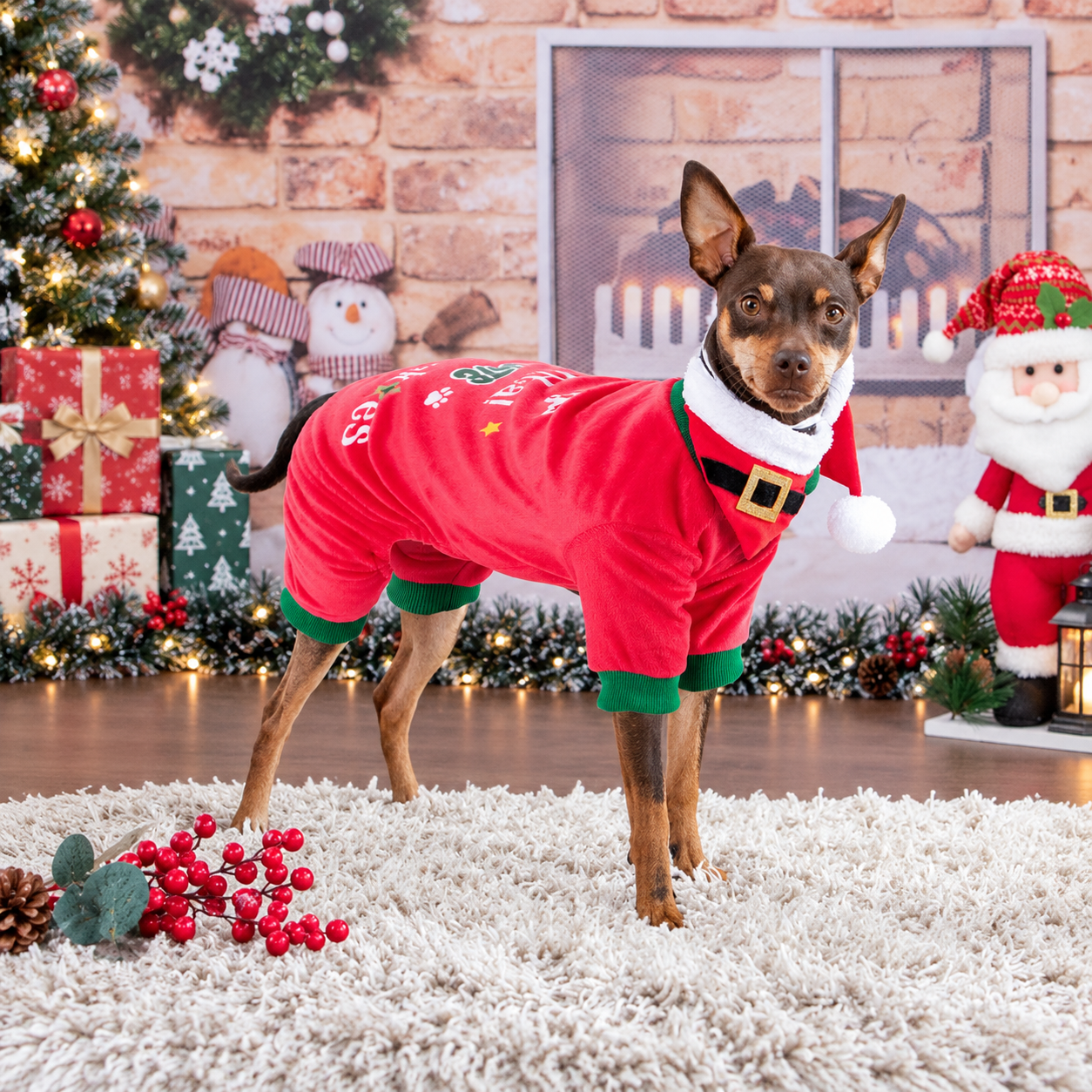 Dog Pajamas Onesie Soft Lightweight Winter Outfit with Comfortable Design