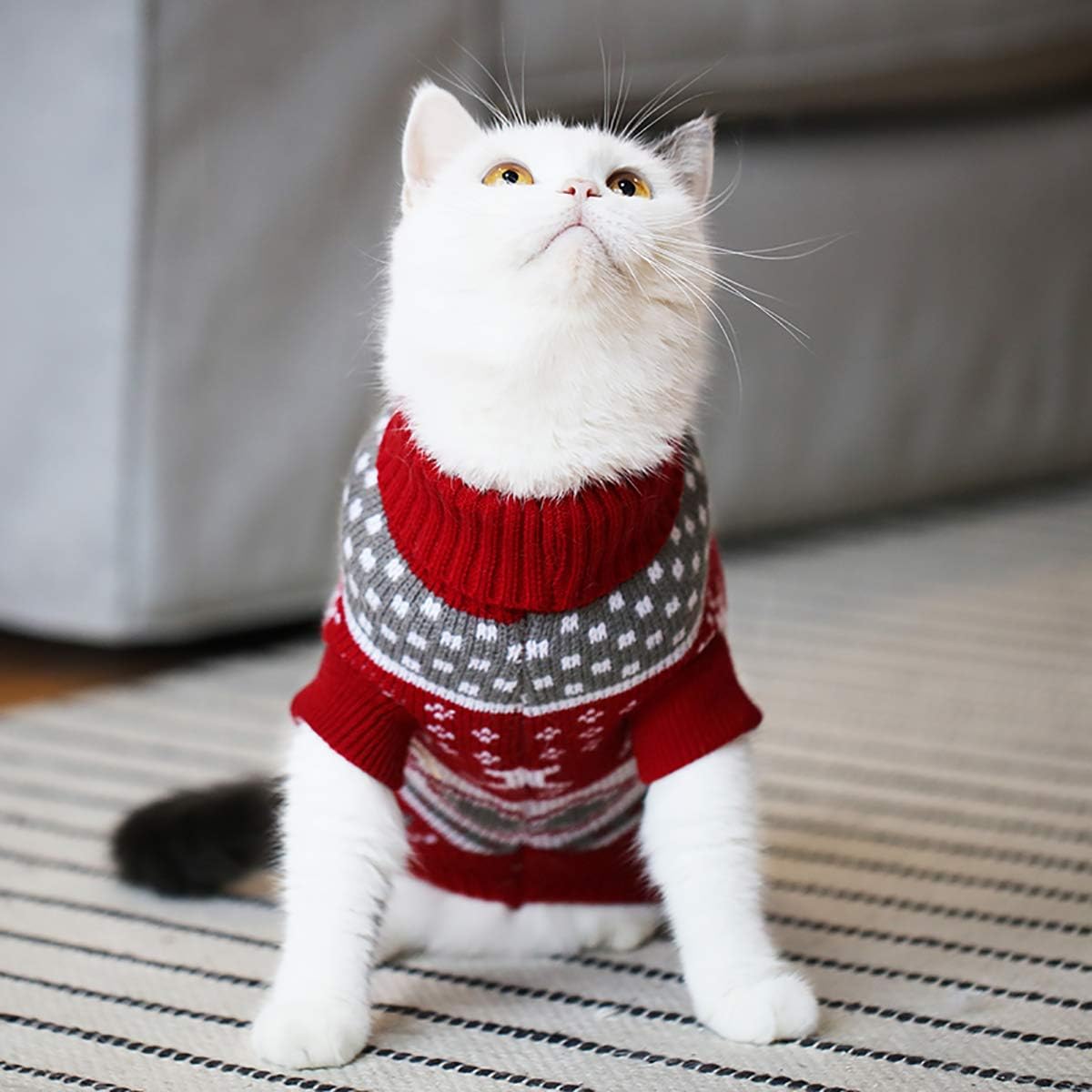 Christmas Themed Warm Sweater For Dog