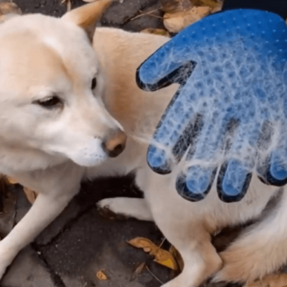Magical Pet Touch Grooming Gloves - FREE SHIP DEALS