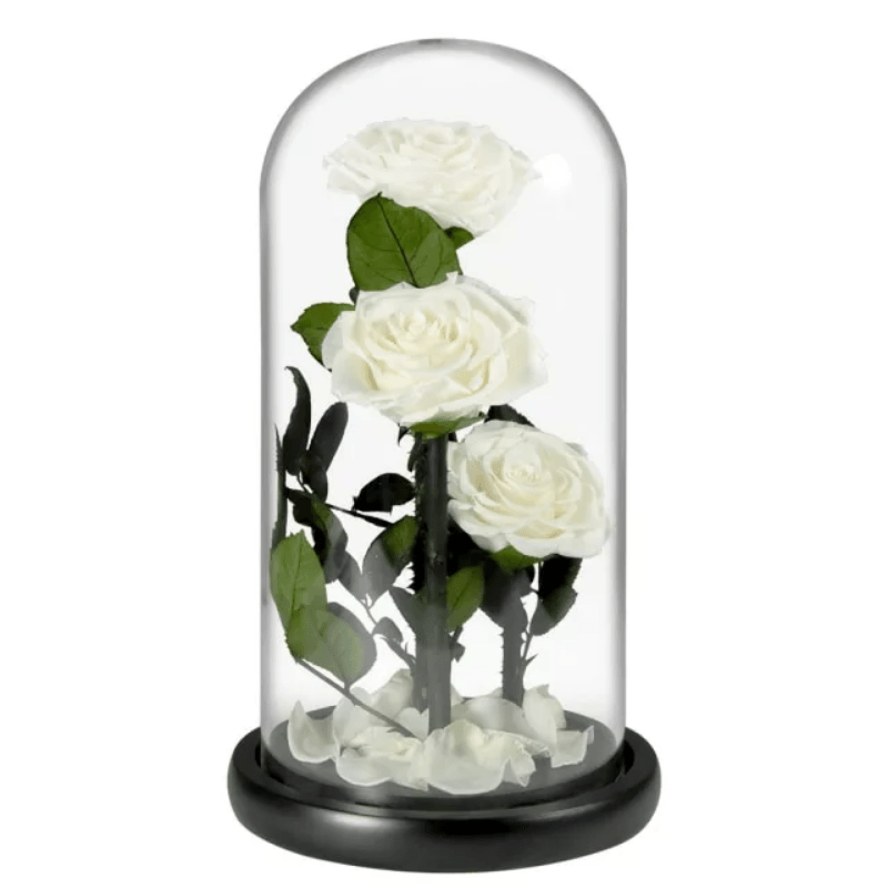Three Headed Rose Dome-Flower Teddy Bear