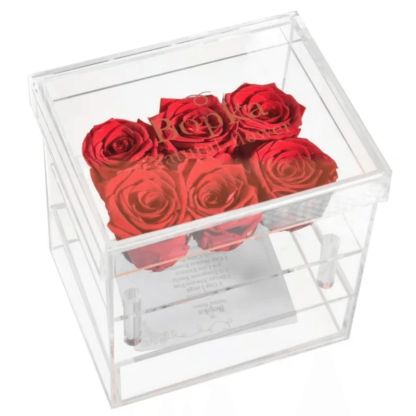 Acrylic Preserved Rose Box – Timeless Floral for Loved Ones - Flower Teddy Bear