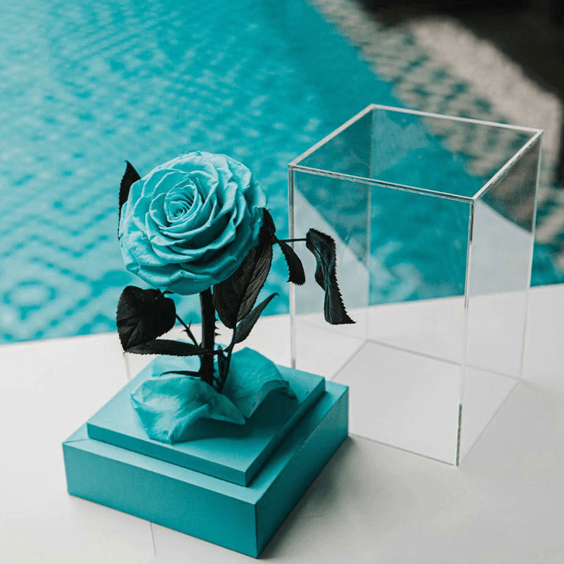 Circle Rose Square Dome – A Timeless Gift To Loved One-Flower Teddy Bear