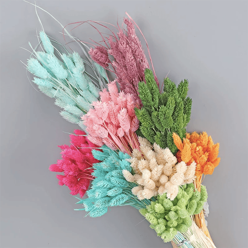 Dried Pampas Flower – Natural And Timeless Decorative Accent-Flower Teddy Bear