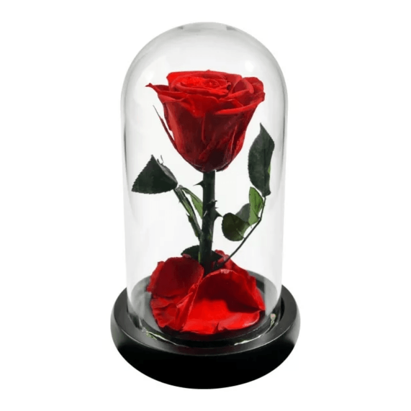 Forever Rose Glass Dome - Gift With Pine Wood Base-Flower Teddy Bear