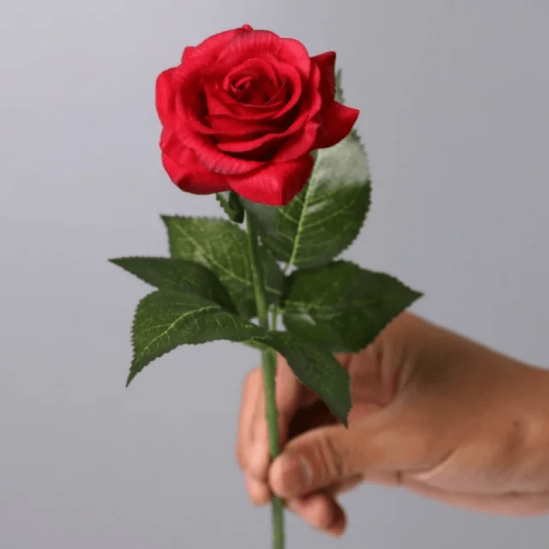 Eternal Roses - The Timeless Rose Gift For Every Festival-Flower Teddy Bear