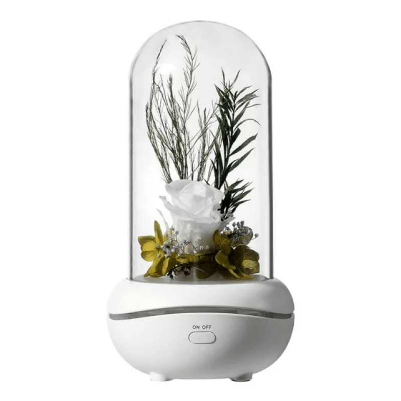 Everlasting Flower Aromatherapy Lamp-Flower Teddy Bear