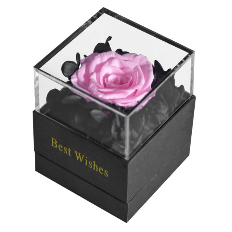 Preserved Rose Jewelry Box-Flower Teddy Bear