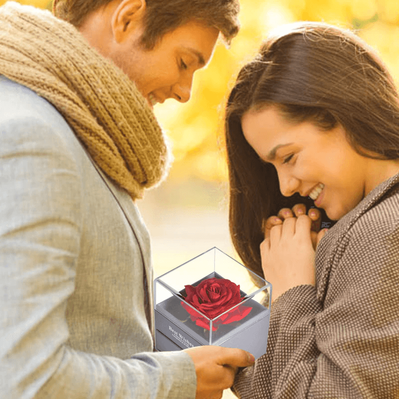 Acrylic Single Silk Rose Box – A Romantic Surprise-Flower Teddy Bear