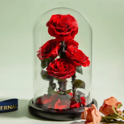 Five Headed Rose Dome - Ideal Gift For Every Occasion-Flower Teddy Bear