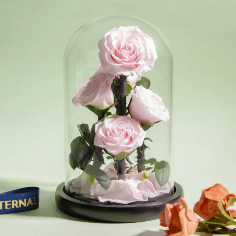 Five Headed Rose Dome - Ideal Gift For Every Occasion-Flower Teddy Bear