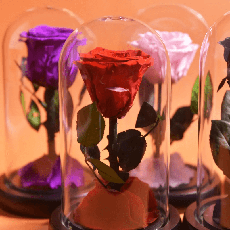 Forever Rose Glass Dome - Gift With Pine Wood Base-Flower Teddy Bear