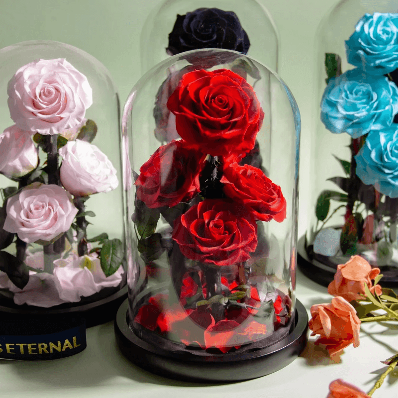 Five Headed Rose Dome - Ideal Gift For Every Occasion-Flower Teddy Bear