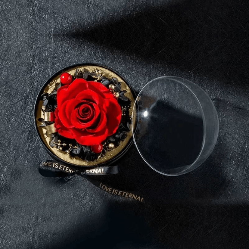 Flower Rose Showbox - An Ideal Showbox For Your Ones-Flower Teddy Bear