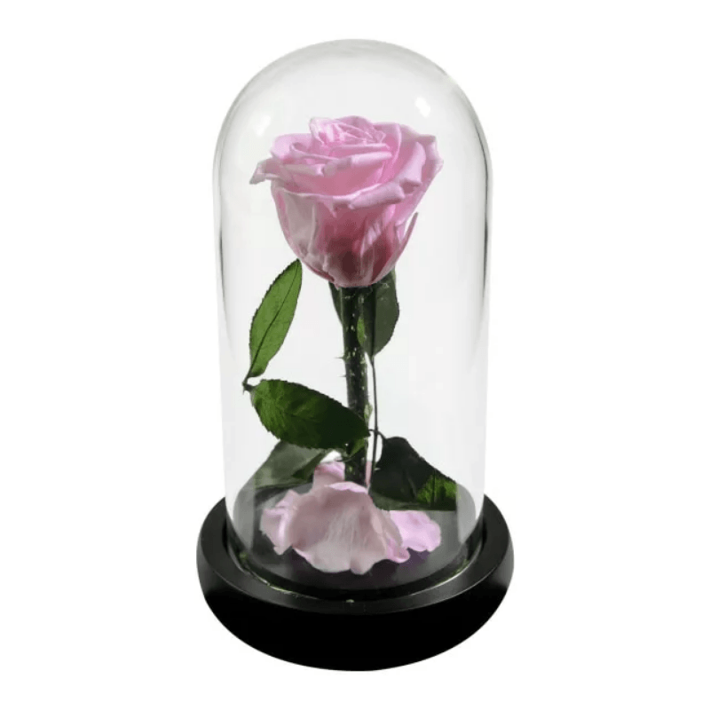 Forever Rose Glass Dome - Gift With Pine Wood Base-Flower Teddy Bear