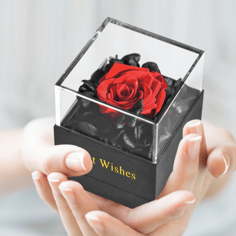Preserved Rose Jewelry Box-Flower Teddy Bear