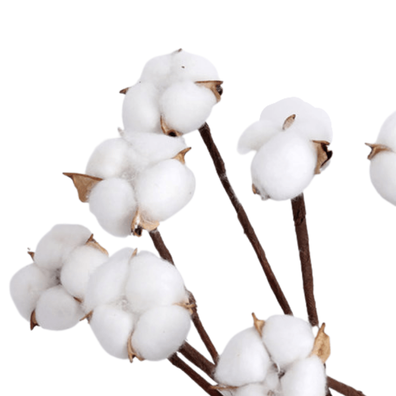 10 Piece Cotton Flower Decorative - Artificial Soft Touch - Flower Teddy Bear