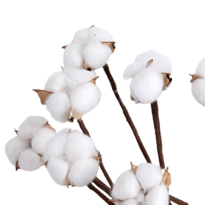 10 Piece Cotton Flower Decorative - Artificial Soft Touch - Flower Teddy Bear
