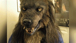 Wolf Costume Mask For Halloween Masquerade Party