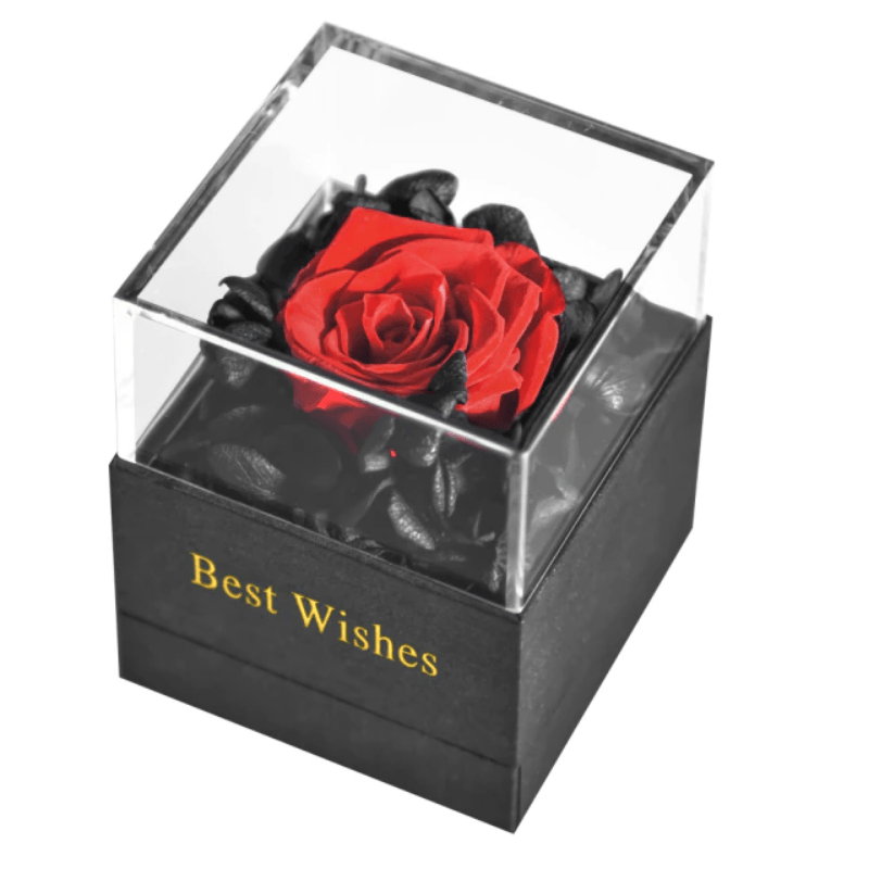 Preserved Rose Jewelry Box-Flower Teddy Bear