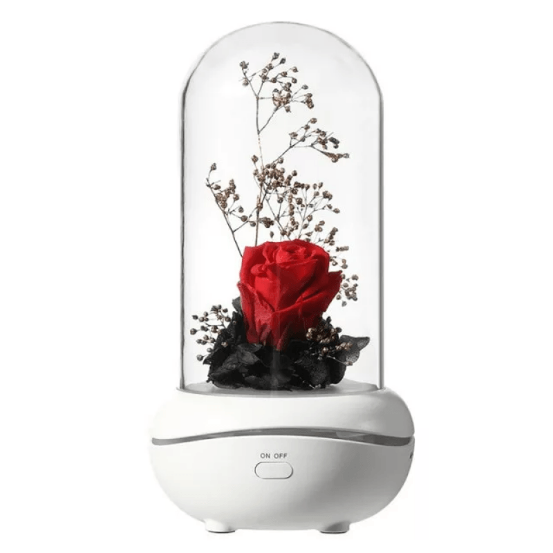 Everlasting Flower Aromatherapy Lamp-Flower Teddy Bear