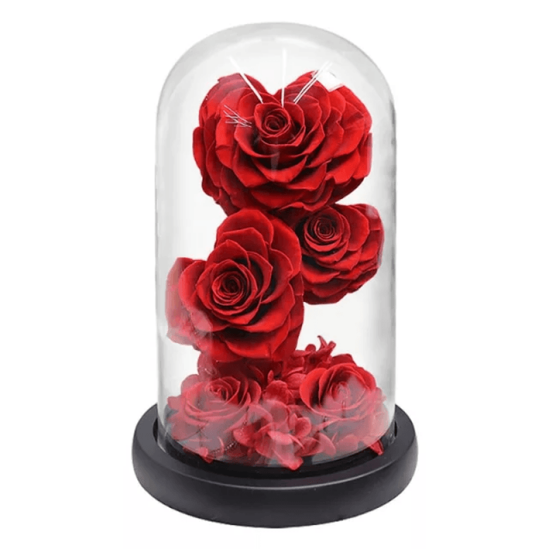 Heart-Shaped Roses in Dome – Timeless And Elegant Keepsake-Flower Teddy Bear