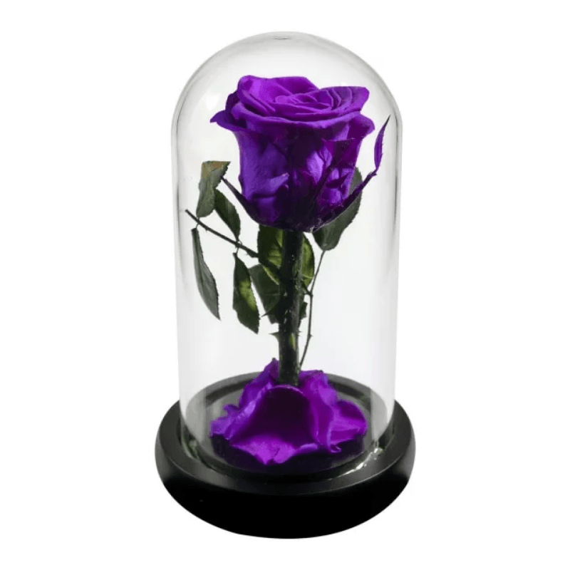 Forever Rose Glass Dome - Gift With Pine Wood Base-Flower Teddy Bear