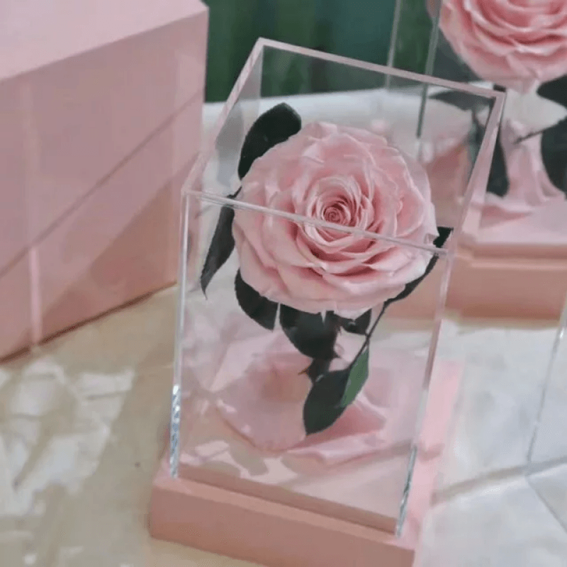 Circle Rose Square Dome – A Timeless Gift To Loved One-Flower Teddy Bear