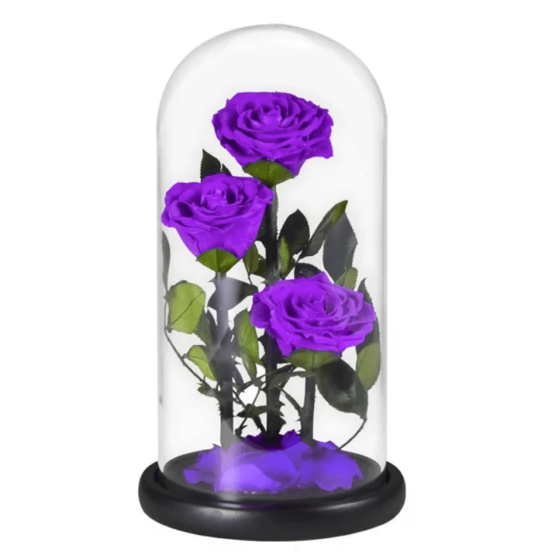 Three Headed Rose Dome-Flower Teddy Bear