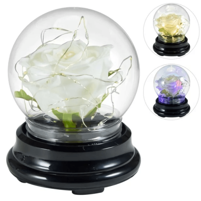 Mini LED Rose Dome-Flower Teddy Bear