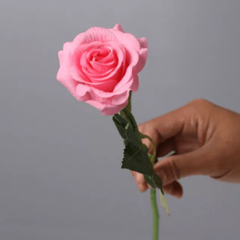 Eternal Roses - The Timeless Rose Gift For Every Festival-Flower Teddy Bear