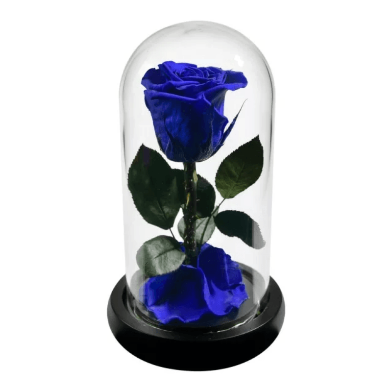 Forever Rose Glass Dome - Gift With Pine Wood Base-Flower Teddy Bear