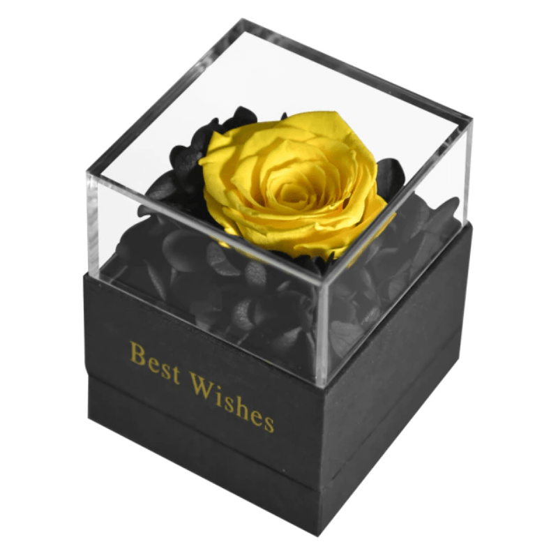 Preserved Rose Jewelry Box-Flower Teddy Bear