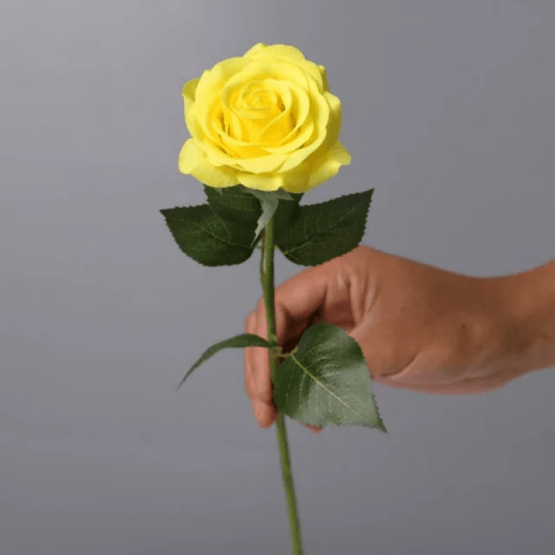 Eternal Roses - The Timeless Rose Gift For Every Festival-Flower Teddy Bear