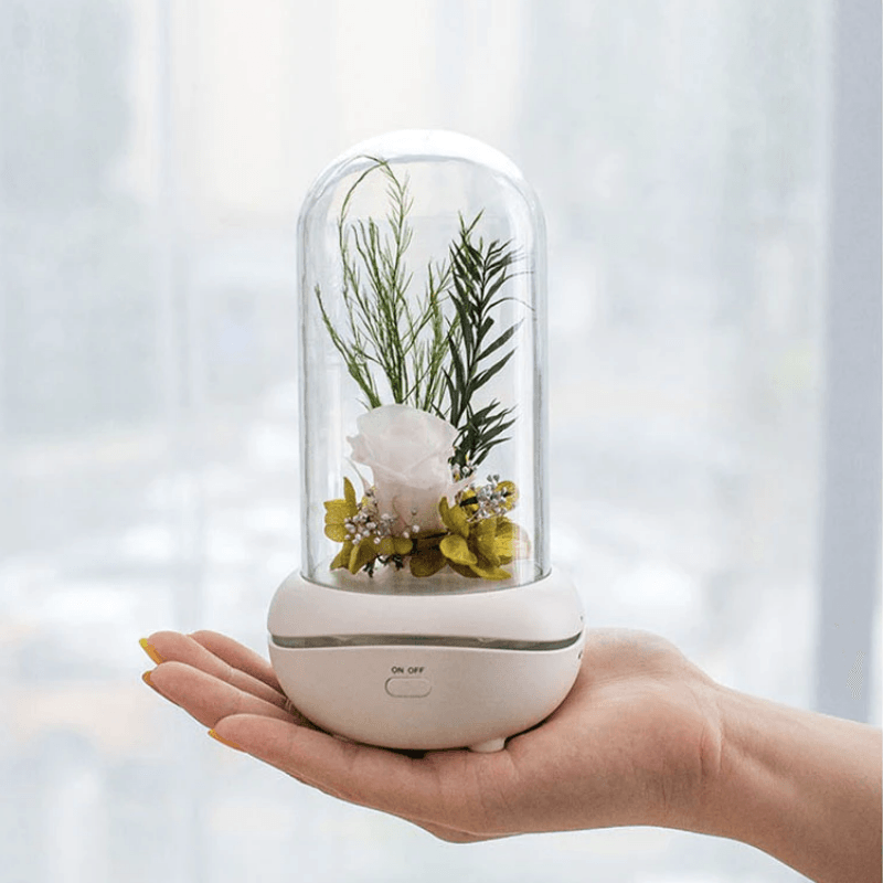 Everlasting Flower Aromatherapy Lamp-Flower Teddy Bear