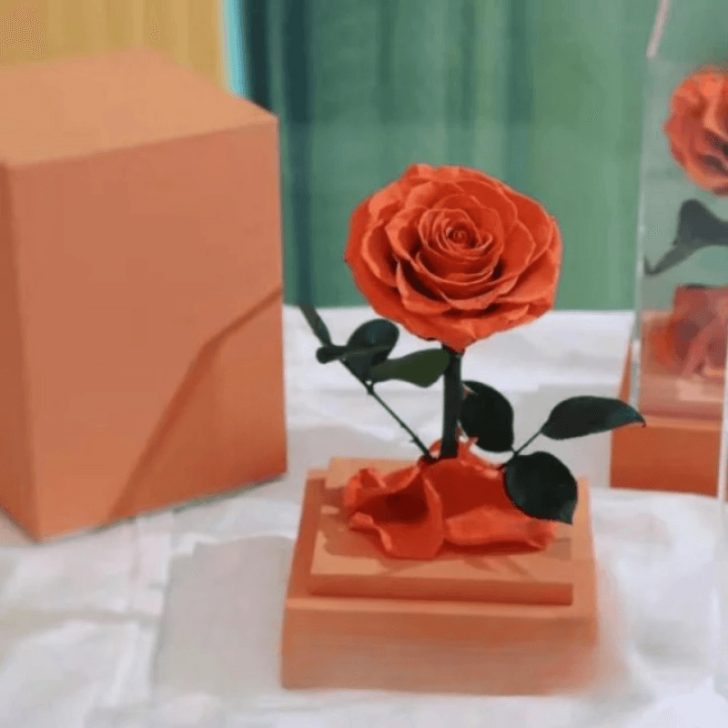 Circle Rose Square Dome – A Timeless Gift To Loved One-Flower Teddy Bear