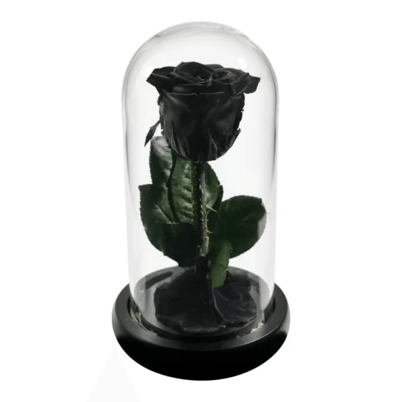 Forever Rose Glass Dome - Gift With Pine Wood Base-Flower Teddy Bear